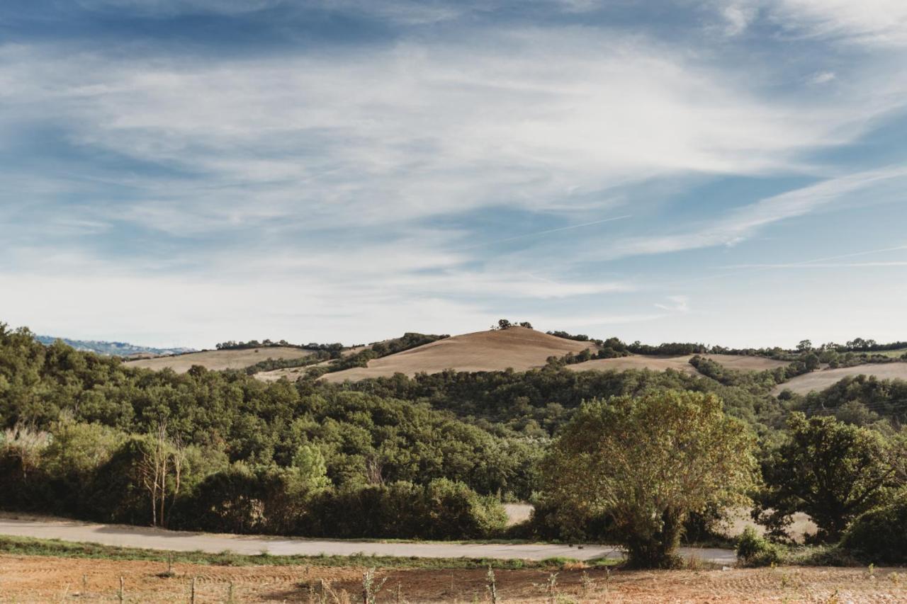 Agriturismo Podere Il Sorbo Campagnatico Luaran gambar